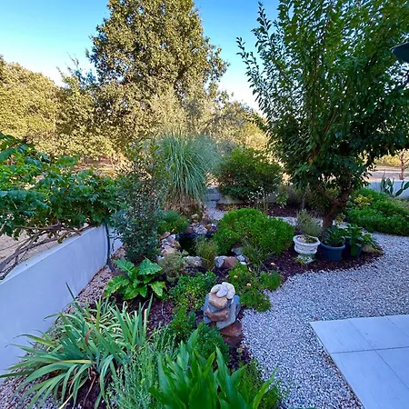 Sunrise Alvorada בית אירוח