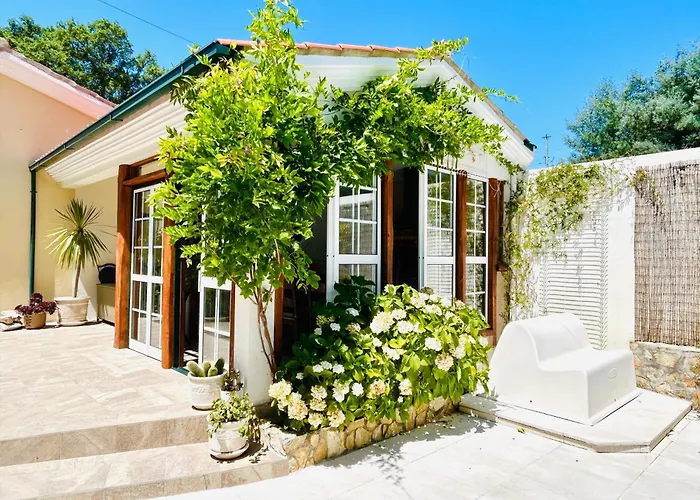 Проживание в семье Sunrise Alvorada *